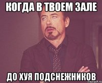 Когда в твоем зале до хуя подснежников