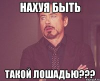 нахуя быть такой лошадью???