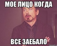 Мое лицо когда все заебало