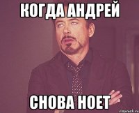 Когда Андрей снова ноет