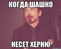 когда Шашко несет херню