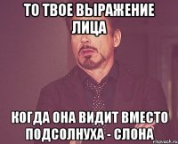 То твое выражение лица когда она видит вместо подсолнуха - слона