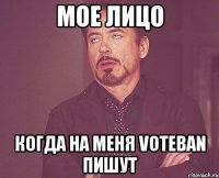 МОЕ ЛИЦО Когда на меня voteban пишут