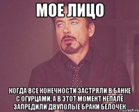 мое лицо когда все конечности застряли в банке с огурцами, а в этот момент непале запредили двуполые браки белочек