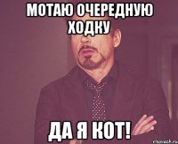 Мотаю очередную ходку да я КОТ!