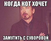 Когда кот хочет Замутить с Суворовой