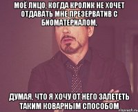 моё лицо, когда кролик не хочет отдавать мне презерватив с биоматериалом, думая, что я хочу от него залететь таким коварным способом