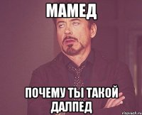 Мамед Почему ты такой Далпед