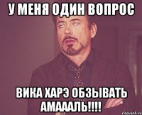 У меня один вопрос ВИКА ХАРЭ ОБЗЫВАТЬ АМАААЛЬ!!!!