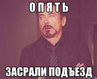 О П Я Т Ь ЗАСРАЛИ ПОДЪЕЗД