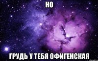 НО ГРУДЬ У ТЕБЯ ОФИГЕНСКАЯ