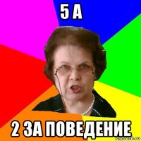 5 а 2 за поведение