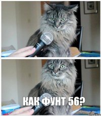  как фунт 56?