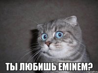  Ты любишь Eminem?