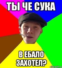 Ты че сука в ебало захотел?