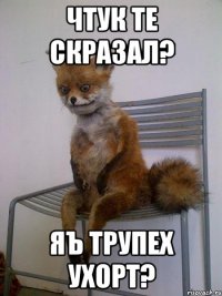 Чтук те скразал? Яъ трупех ухорт?