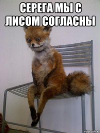 Серега мы с лисом согласны 