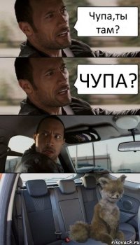 Чупа,ты там? ЧУПА?