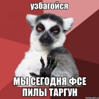  Мы сегодня фсе пилы таргун