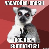 УЗБАГОЙСЯ, Crosh! Все, всем выплатится!