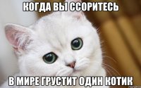 когда вы ссоритесь в мире грустит один котик