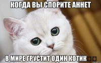 Когда вы спорите Аннет В мире грустит один котик：（