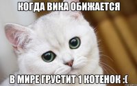 когда Вика обижается в мире грустит 1 котенок :(