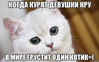 КОГДА КУРЯТ ДЕВУШКИ КРУ В МИРЕ ГРУСТИТ ОДИН КОТИК=(