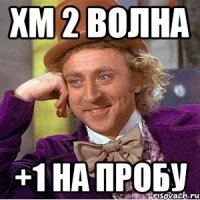 Хм 2 волна +1 на пробу