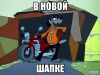 В новой Шапке