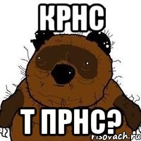 крнс т прнс?