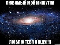 любимый мой Мишутка люблю тебя и жду!!!!