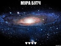 мура бутч ♥♥♥♥