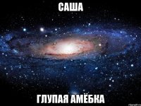 Саша глупая амёбка