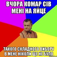 Вчора комар сів мені на яйце Такого складного вибору в мене ніколи ще не було