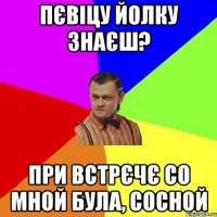 Пєвіцу йолку знаєш? при встрєчє со мной була, сосной