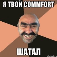 я твой commfort шатал