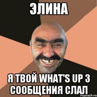 Элина Я твой what's up 3 сообщения слал