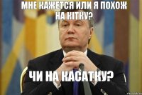 Мне кажется или я похож на КІТКУ? Чи на КАСАТКУ?