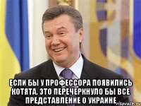  Если бы у профессора появились котята, это перечеркнуло бы все представление о Украине