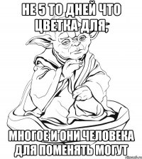 не 5 то дней что цветка для, многое и они человека для поменять могут