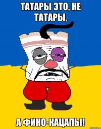 Татары это, не татары, А Фино-Кацапы!