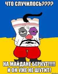 что случилось???? на Майдане Беркут!!!!! и он уже не шутит!