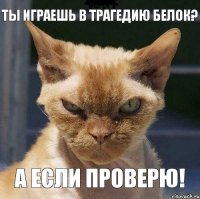 Ты играешь в трагедию белок? А если проверю!