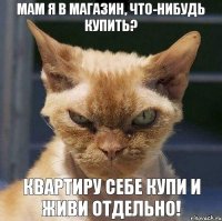 Мам я в магазин, что-нибудь купить? Квартиру себе купи и живи отдельно!