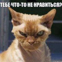 Тебе что-то не нравиться? 