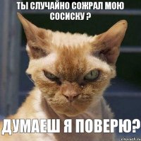 Ты случайно сожрал мою сосиску ? Думаеш я поверю?