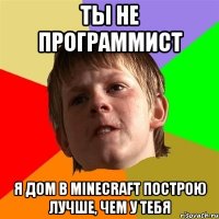 Ты не программист Я дом в Minecraft построю лучше, чем у тебя