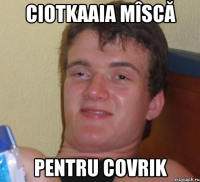 ciotkaaia mîscă pentru covrik