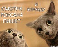 смотри роксана пишет и вправду